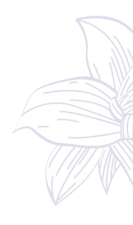 Hero Right Top Decoration